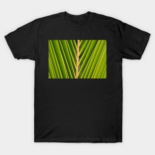 Palm frond. T-Shirt